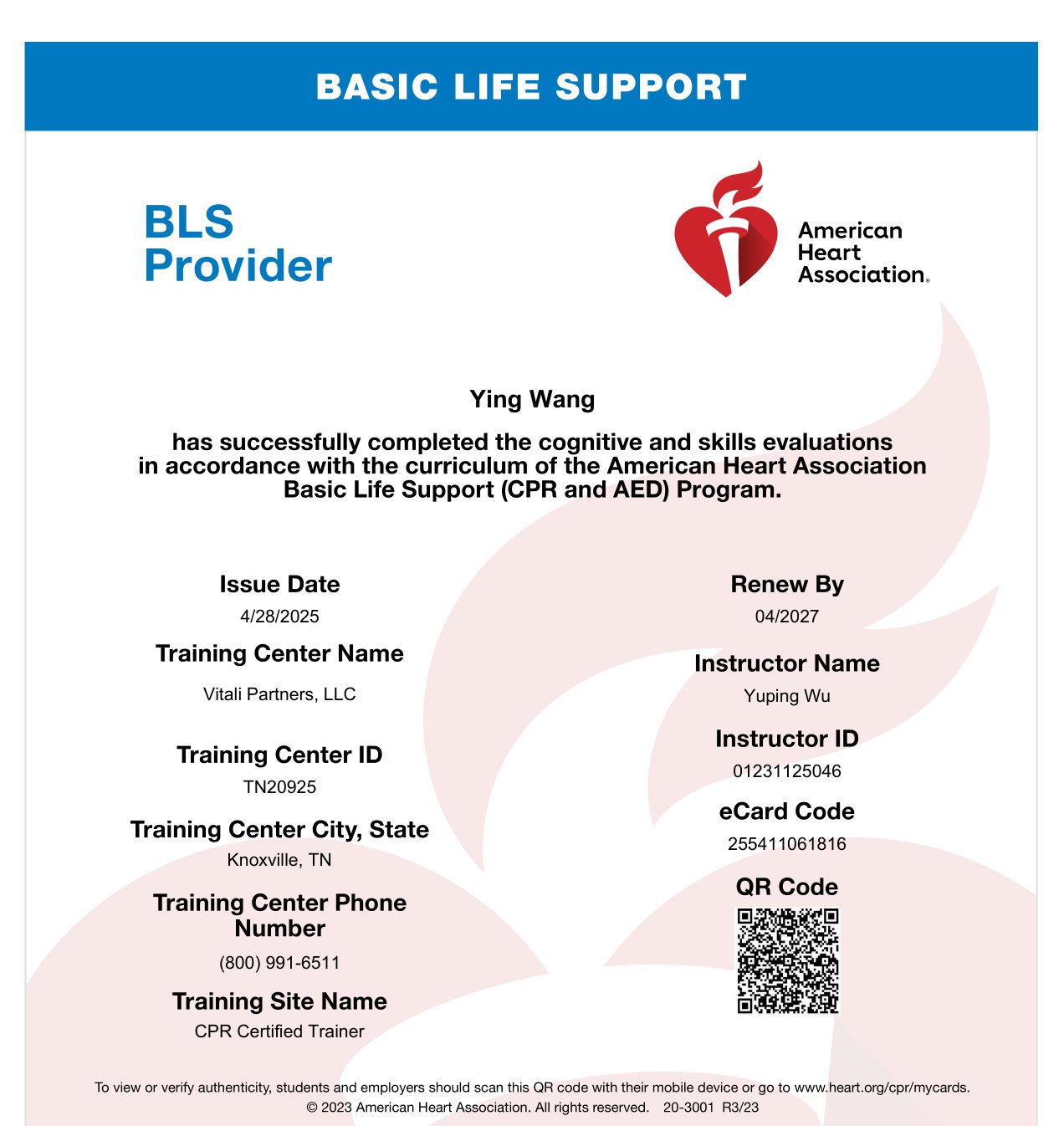 American Heart Association Basic Life Support Provider